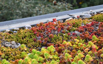 the cost of Pont Rhythallt green roof installation