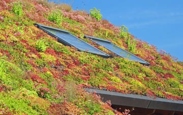 Pont Rhythallt living roof systems