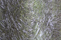 Pont Rhythallt fibreglass roof work